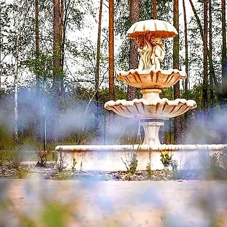 Готель S5